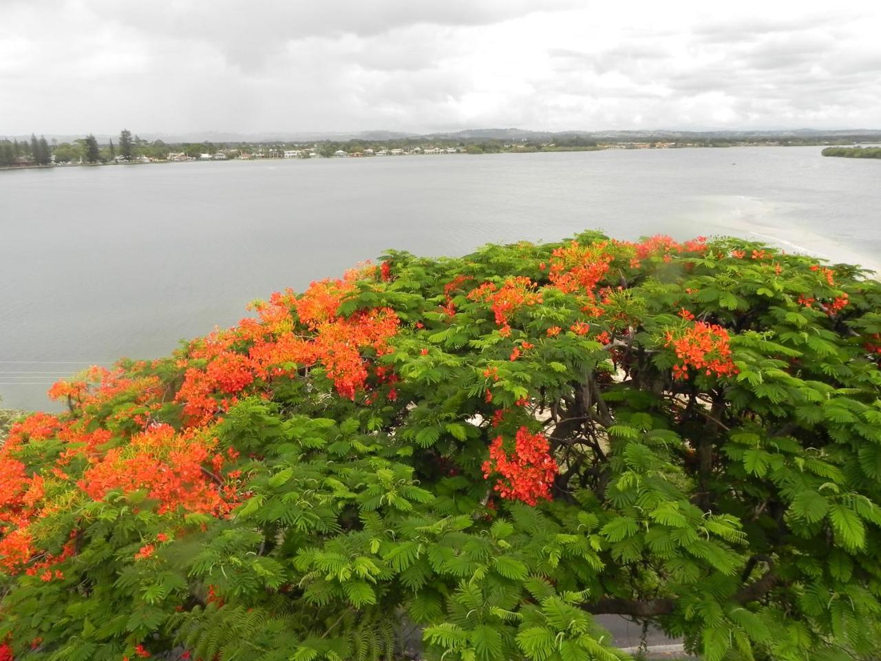 Leisure-Lee Holiday Apartments Ballina Buitenkant foto
